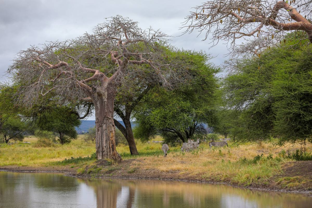 4-Day All-Inclusive Calving Season Hassle-Free Adventure - 4 Days / 3 Nights