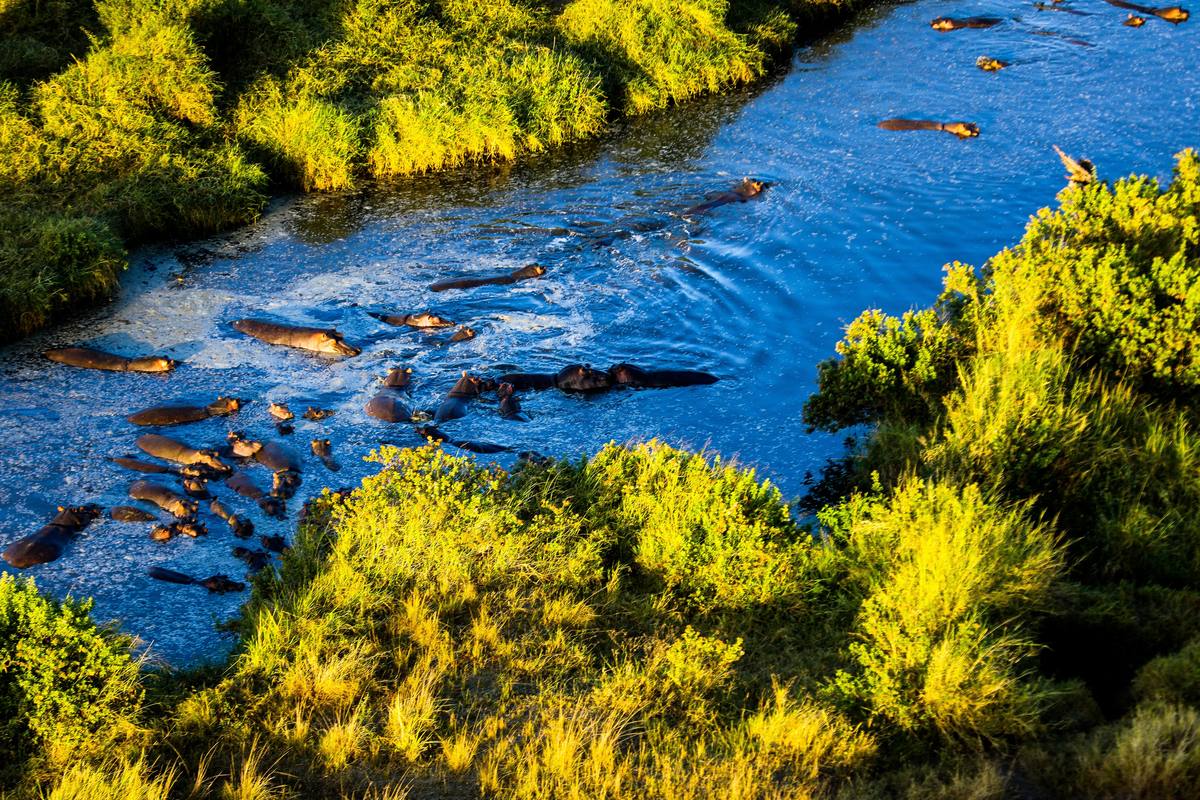 8-Day The Great Migration Adventure - 8 Days / 7 Nights