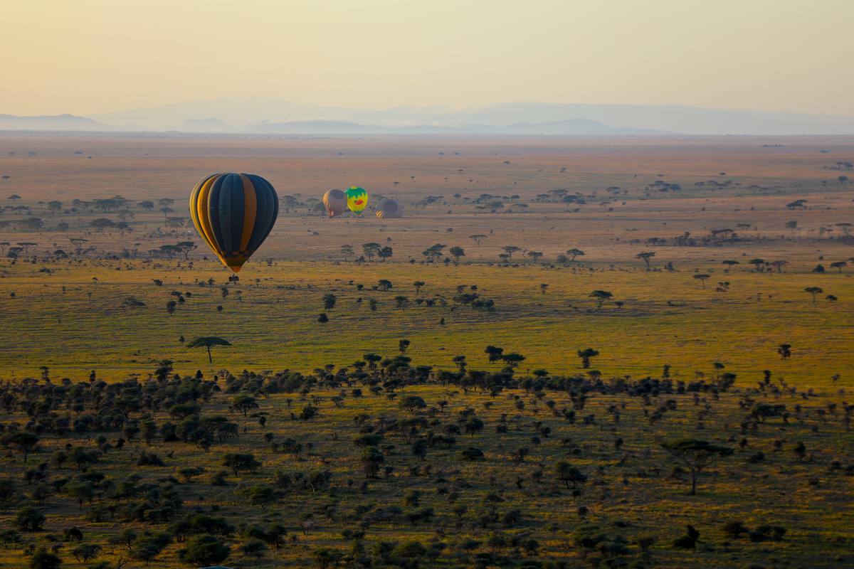 8-Day Wildebeest Migration Across the Mara River - 8 Days / 7 Nights